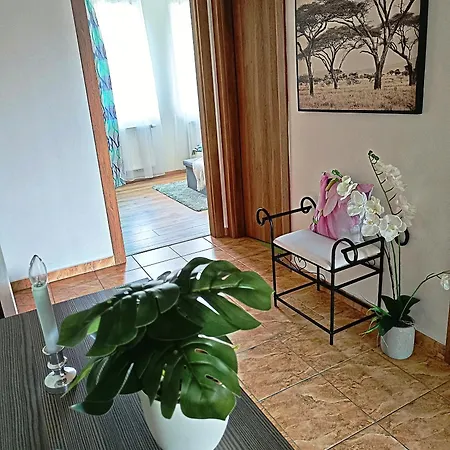 Riviera Lipno 51017
