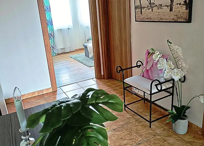 Riviera Lipno 51017
